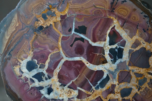 セプタリアン Septarian 1279