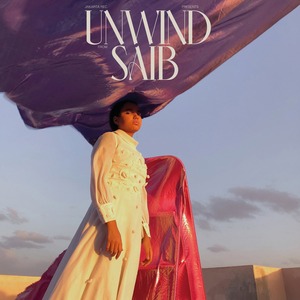 〈残り1点〉【LP】Saib - Unwind