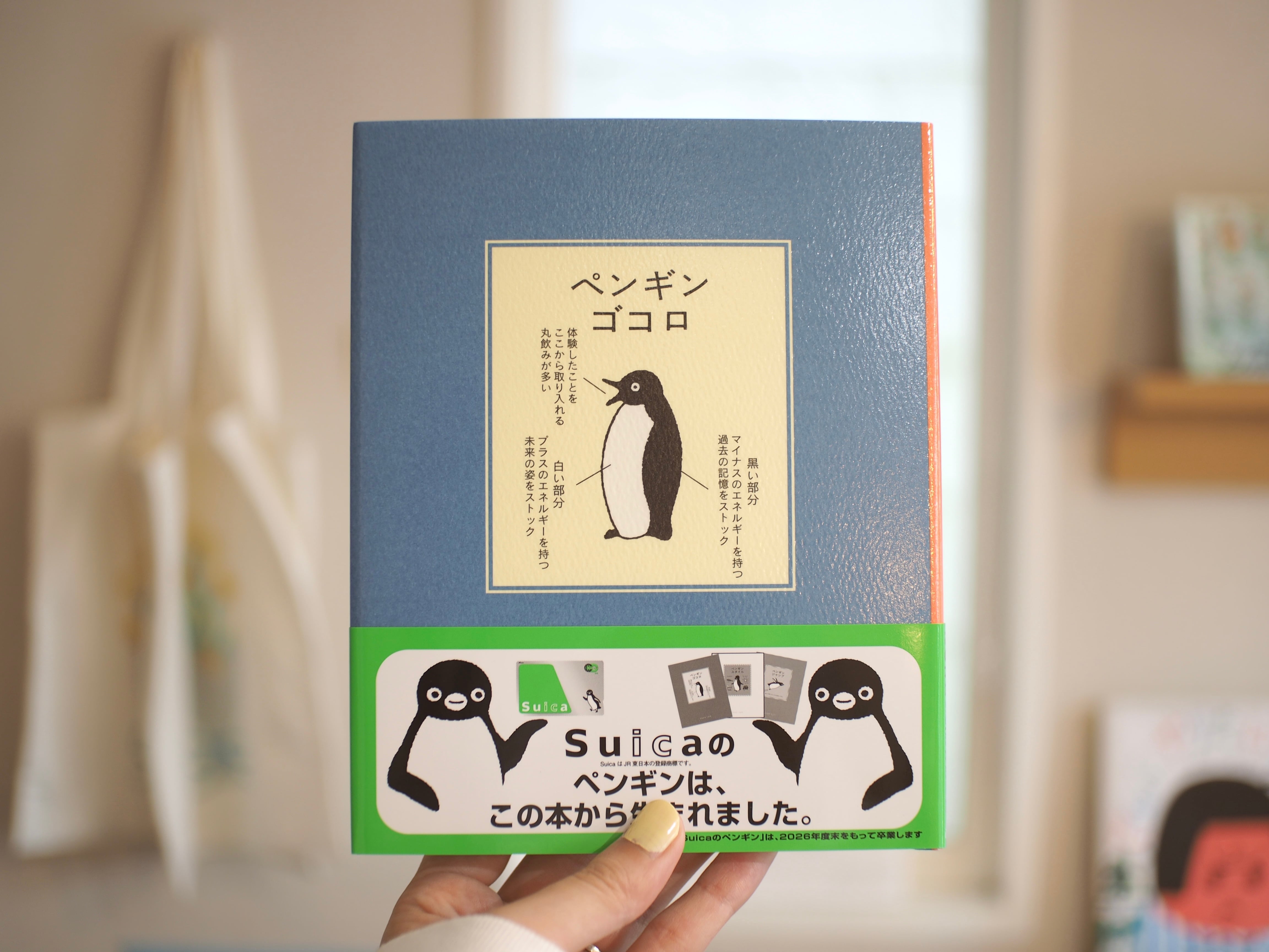 だるま 大 / 西本良太 | 本屋ブーケ