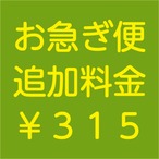 お急ぎ便料金