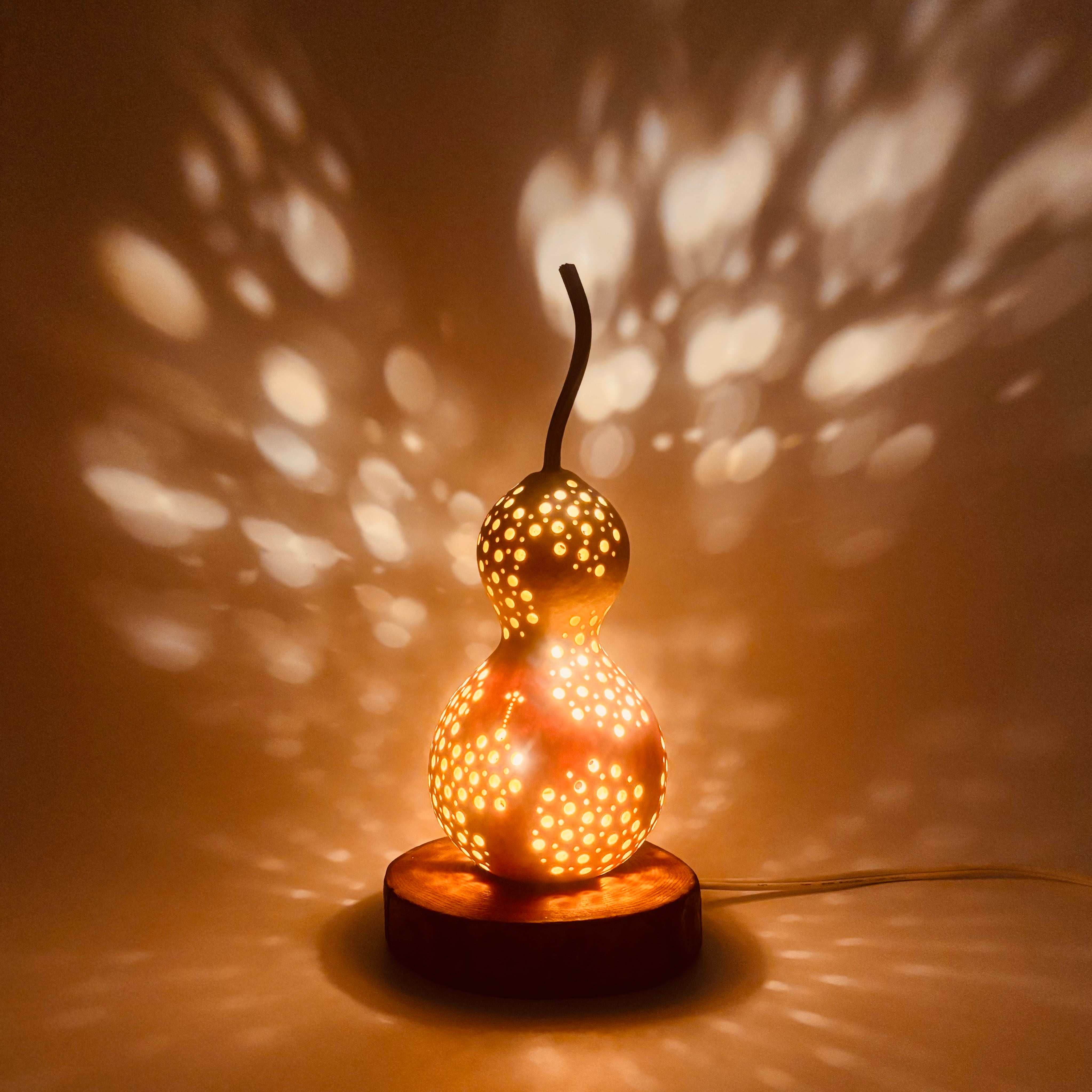 じゃごけランプ01