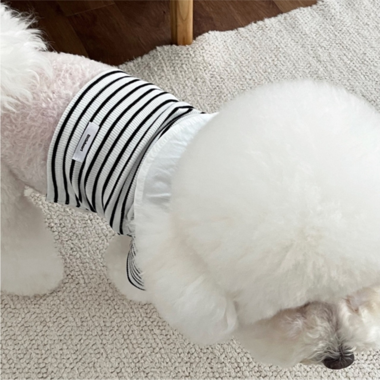 予約【pecoramou select】April Button Dangara / T-shirt Type