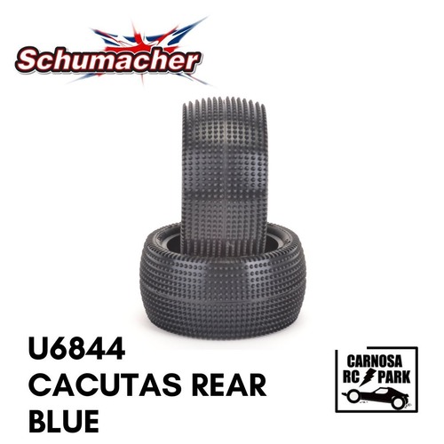 【Schumacher シューマッカー】Cactus[カクタス]リア Blue [U6844]