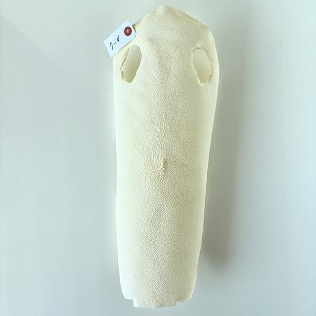 鮫皮　刀剣用　虎鮫13 鮫皮問屋