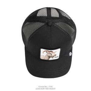 Goorin Bros. Mirage Him VOID