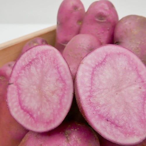 信州産•ノーザンルビー(約4kg)
