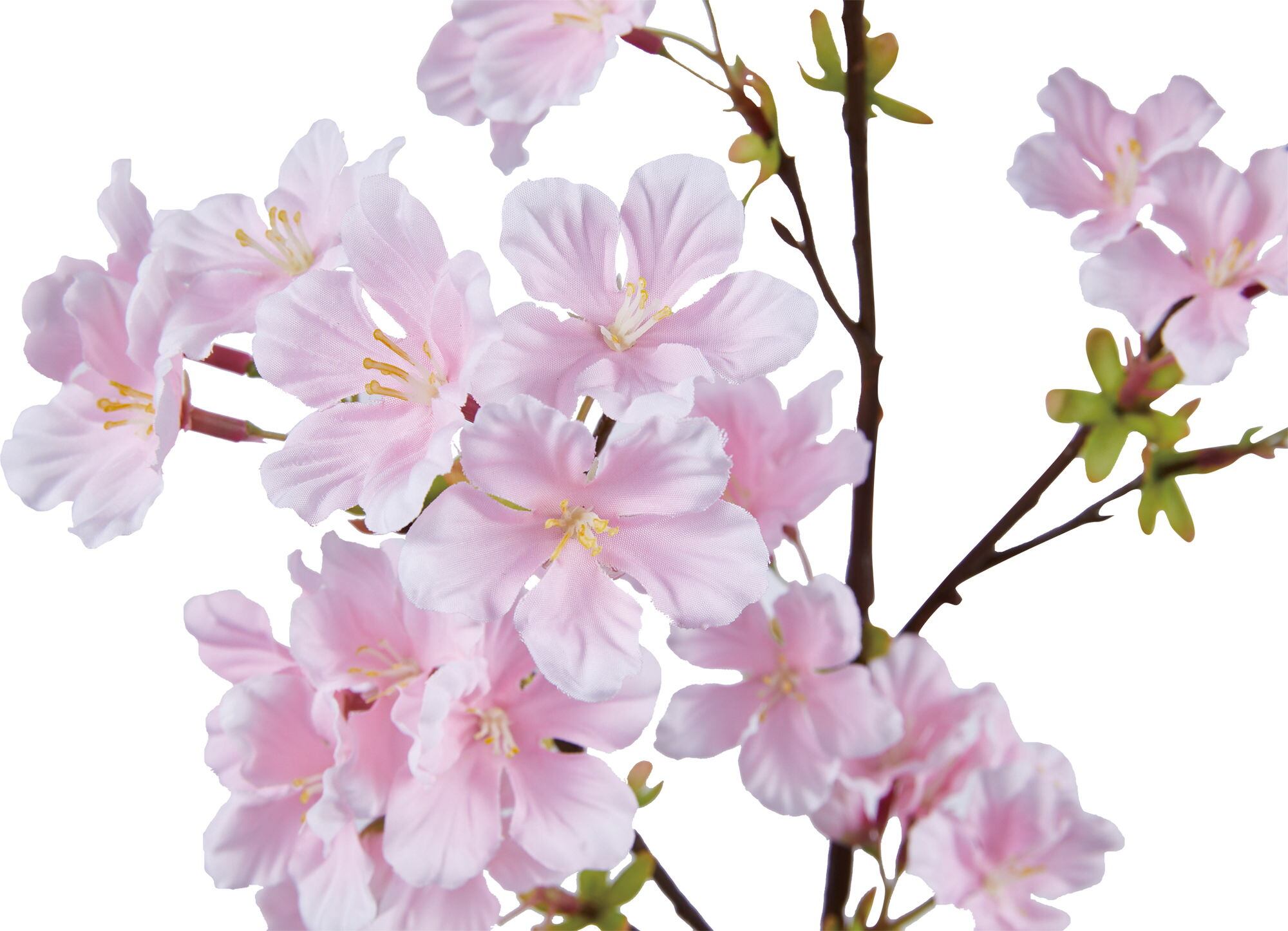 ソメイヨシノ　　FS-7923P　4961823786167　造花（アーティフィシャルフラワー） > シーズン造花