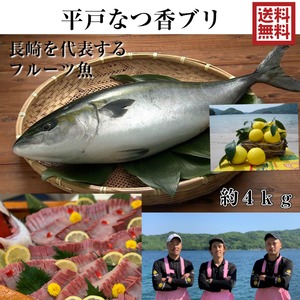 平戸なつ香ブリ(約4～5㎏)送料無料 青空レストラン に出た フルーツ魚