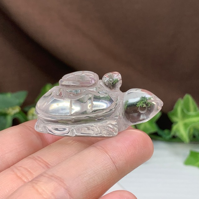 5.透明度高☆親子亀水晶☆