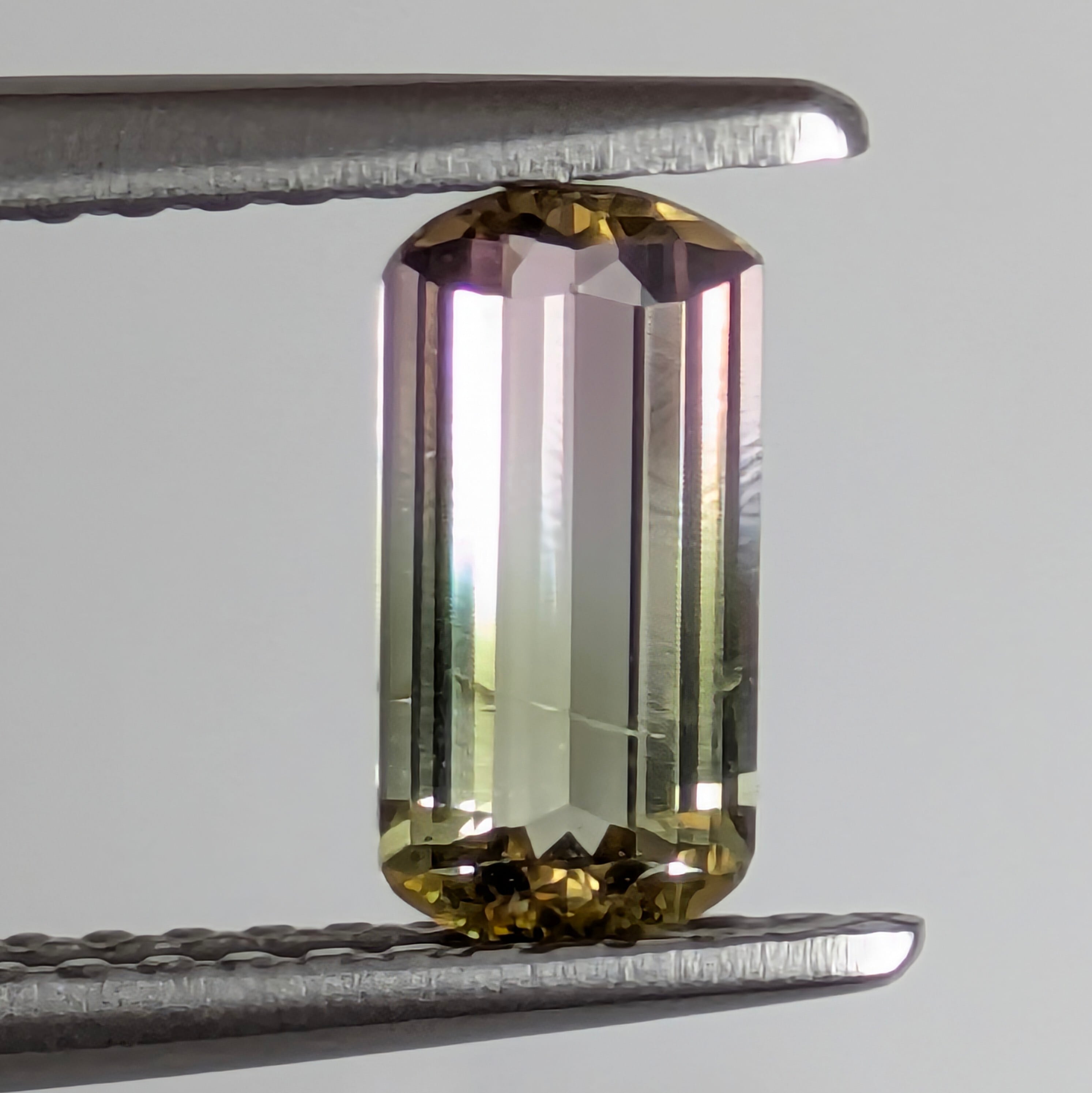 バイカラートルマリンルース 【0.66ct】 PRO208954 | Gem's Subculture