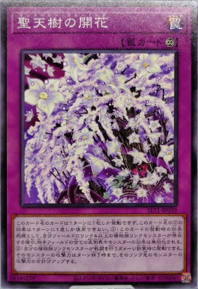 聖天樹の開花【SLT1-JP039】[N]