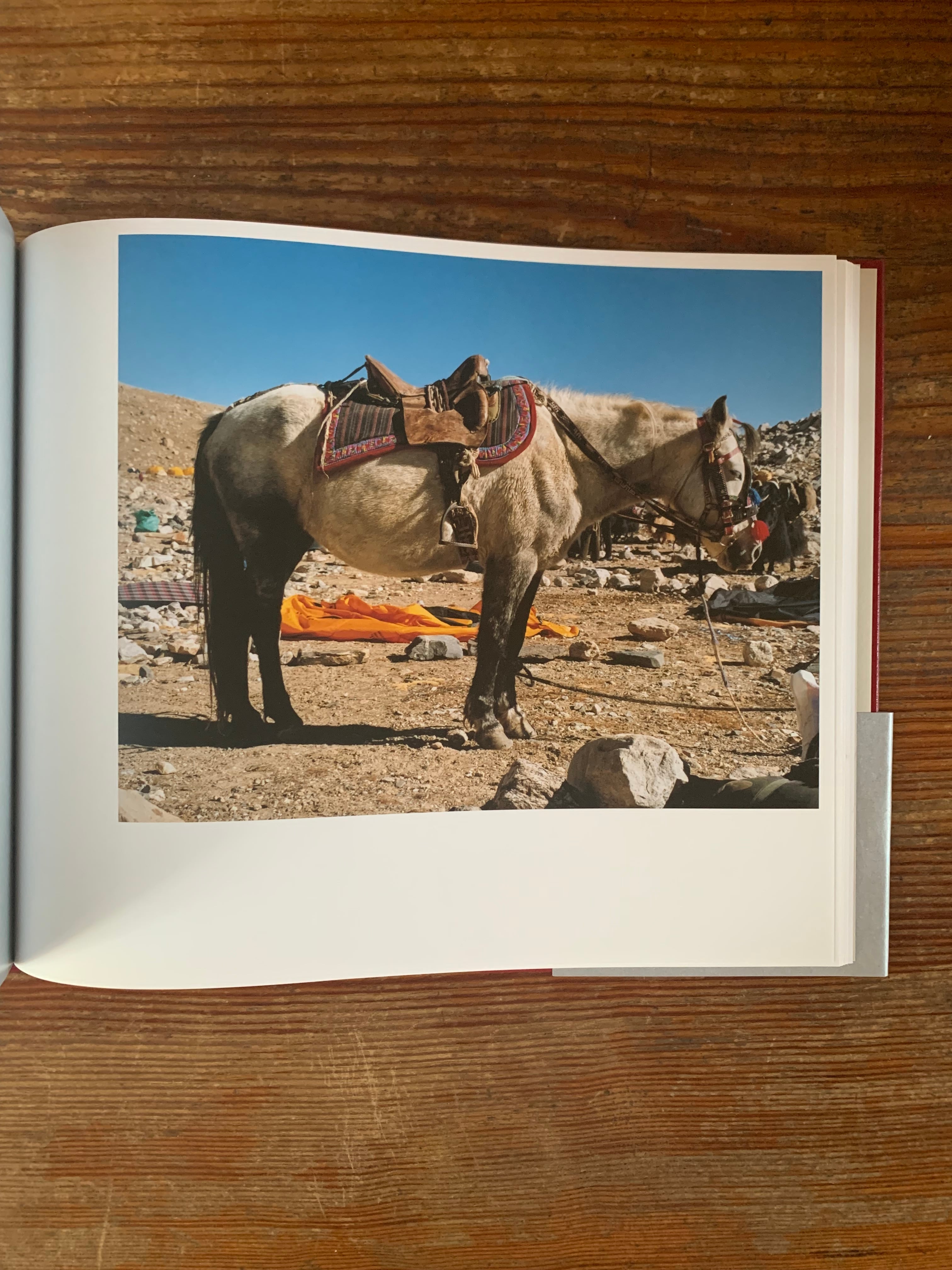 サイン本】石川直樹『シシャパンマ』 | STANDARD BOOKSTORE