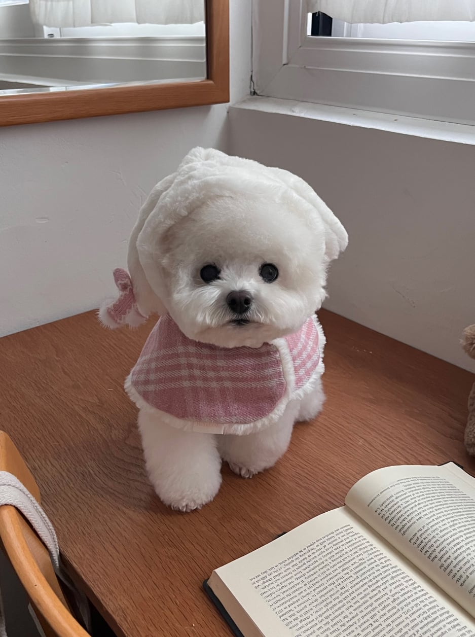 予約【Hi Yeboo】Audrey Bunny Cape (Pink)