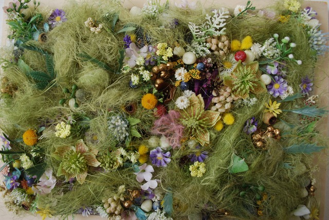 carpet of flowers 森の景色 green