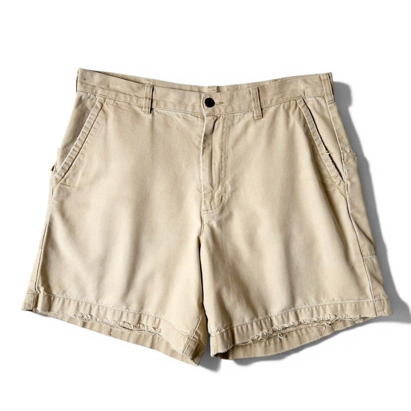 16年製 Patagonia オールウェア ショーツ 38 / パタゴニア ショート