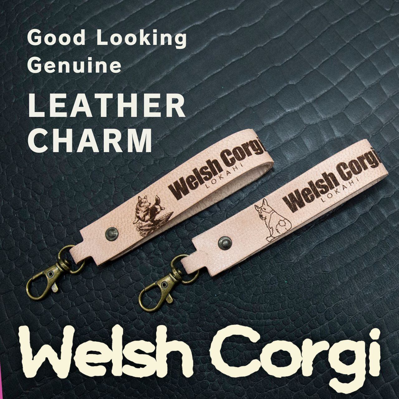 CORGI | LOKAHi