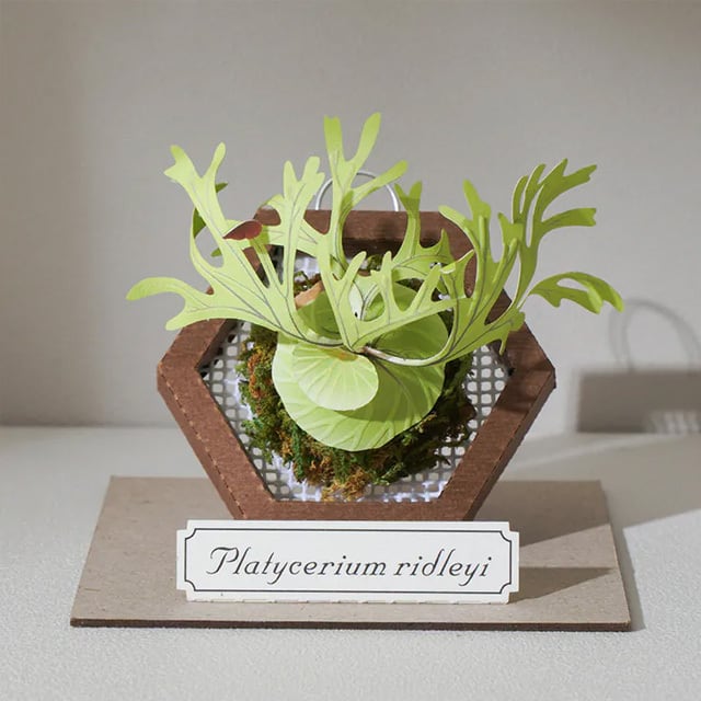 ペーパークラフト | 猫式×台灣 台湾雑貨 猫雑貨の通販サイト