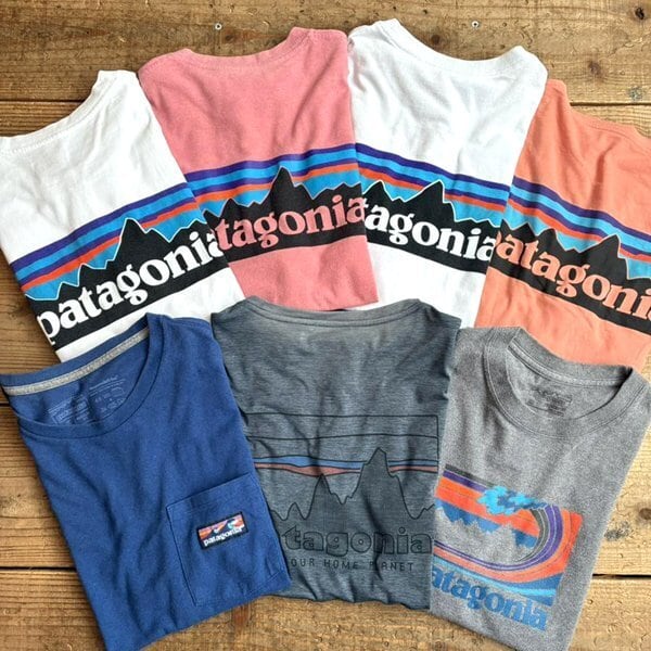 1点物◇パタゴニアPatagoniaバックプリントくすみピンクTシャツ古着