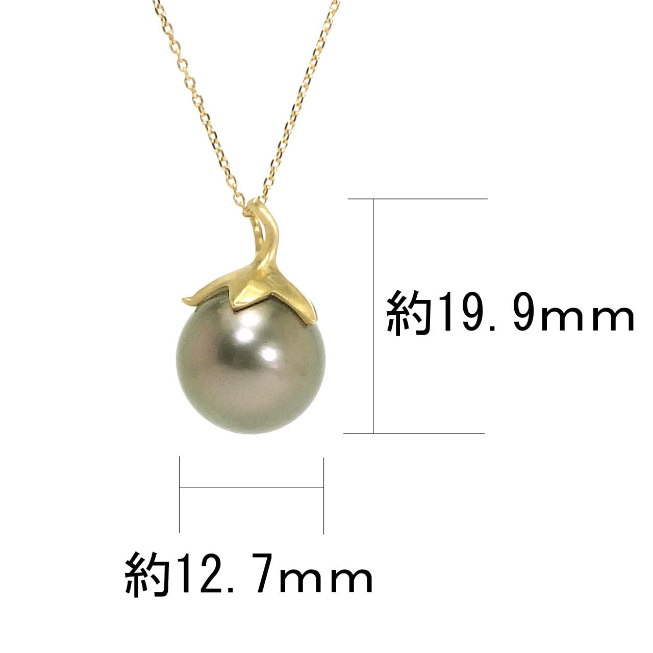 希少サイズ！南洋パール 黒蝶真珠ネックレス ペンダントトップ 15.6mm 絶品