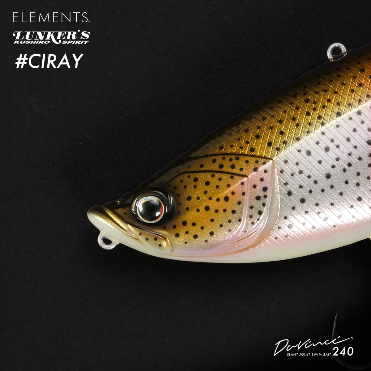 受付終了】Davinci240 #CIRAY | ELEMENTSオンラインストア