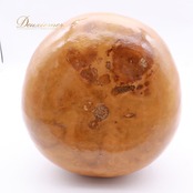 フラダンス 小物 イプ ひょうたん ブラウン系 ベージュ系 楽器 茶 小物 小道具 紐 タヒチアン タヒチ ハワイアン フラ ダンス 練習 レッスン 舞台 ステージ 音楽 ハワイアン アロハ ダンス小物 ナチュラル 落ち着いた色