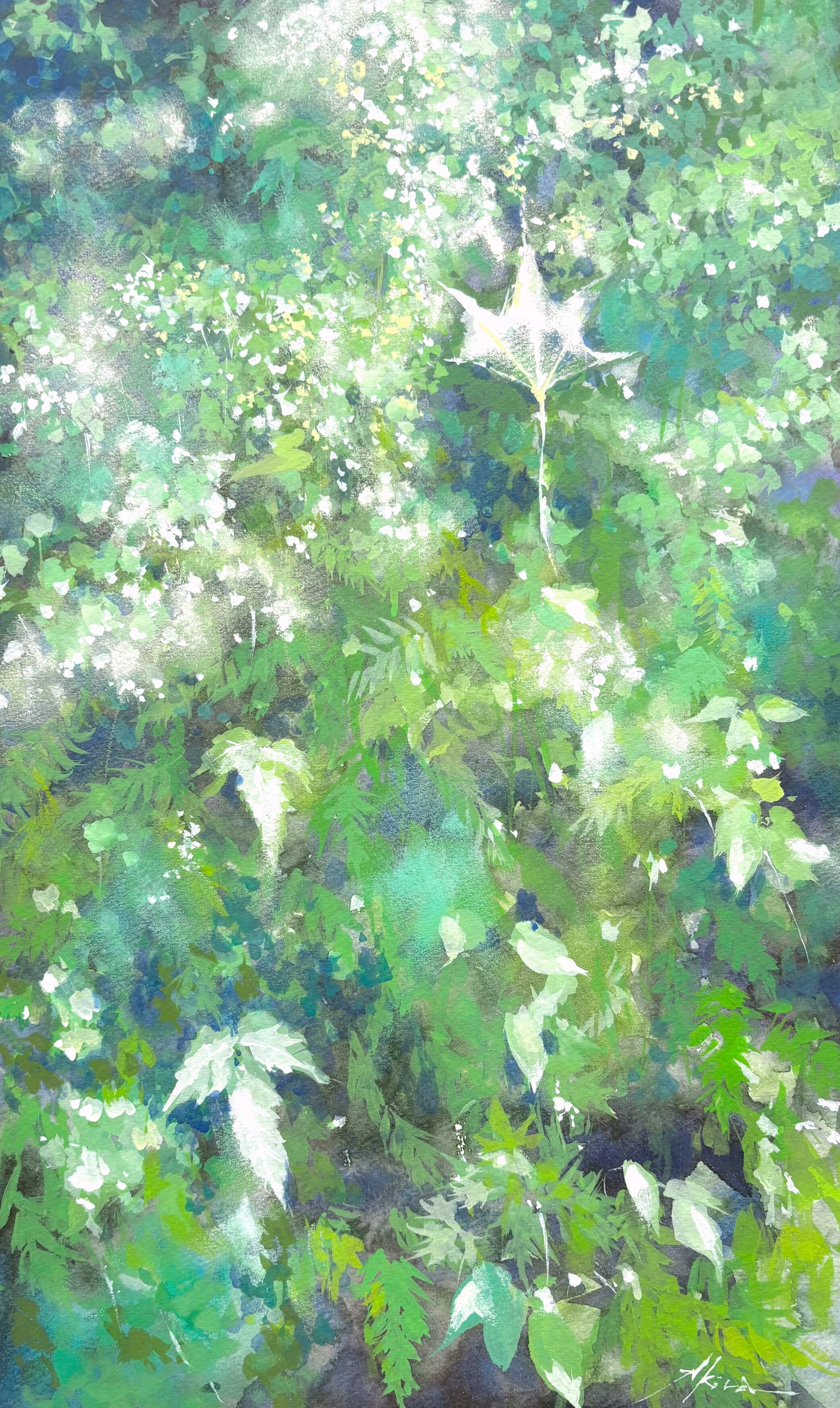 vasenoir