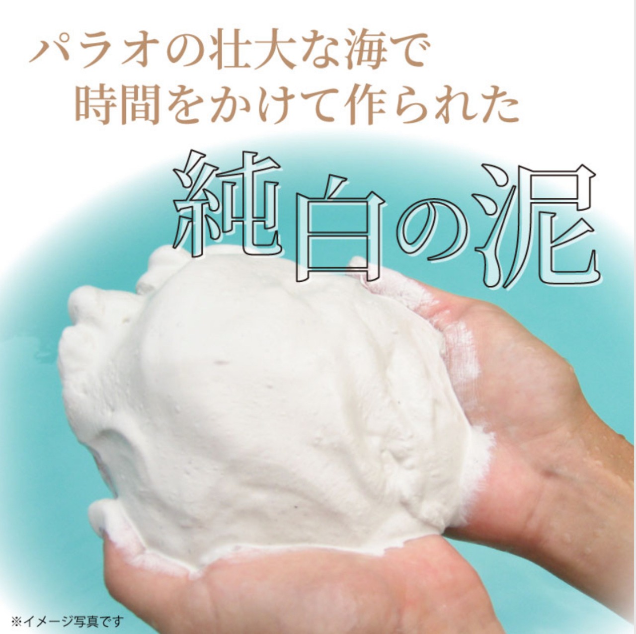 【8月キャンペーン特典付き★】ホワイティーパラオパック