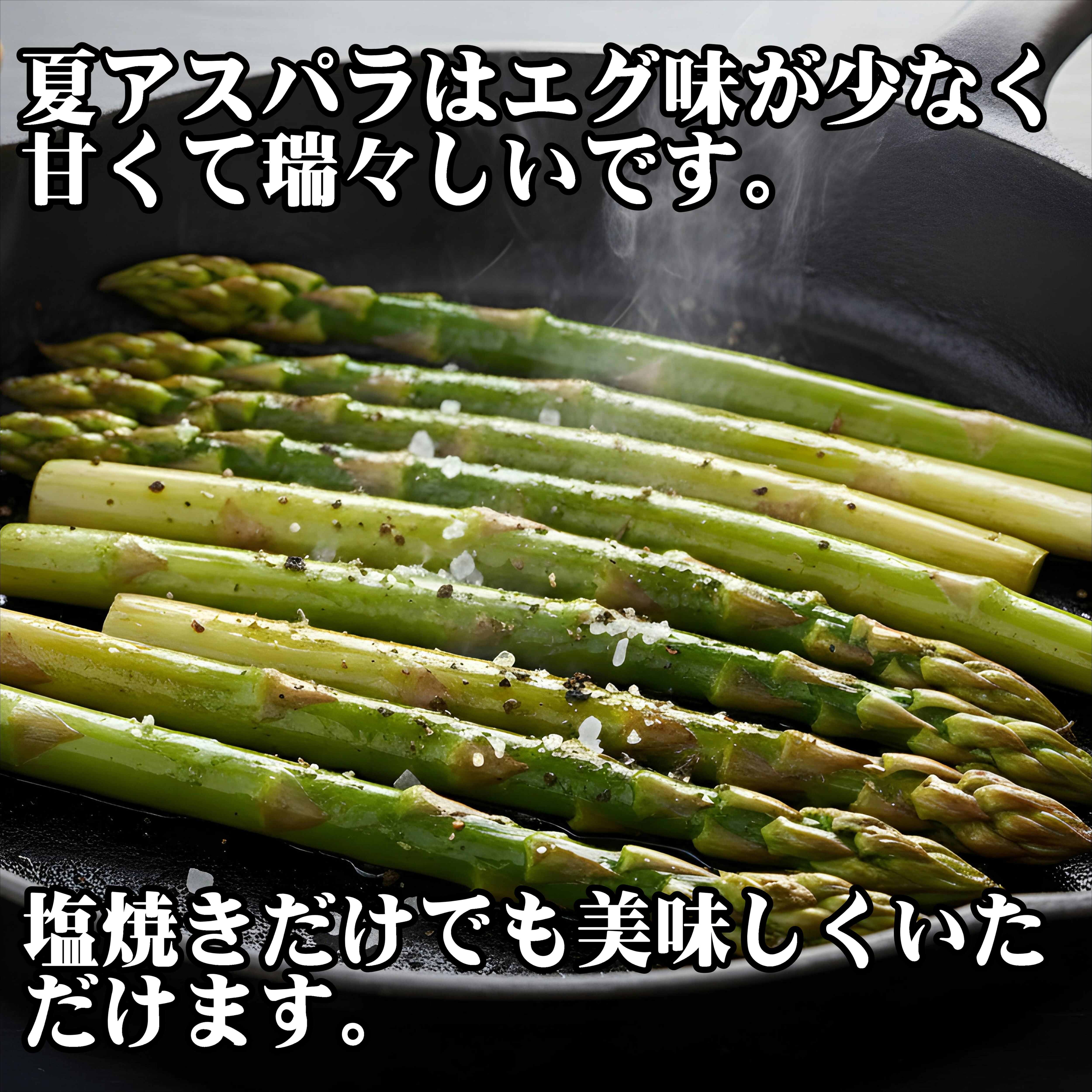送料無料】福島県会津産 夏グリーンアスパラ Lサイズ600g | 常磐市場