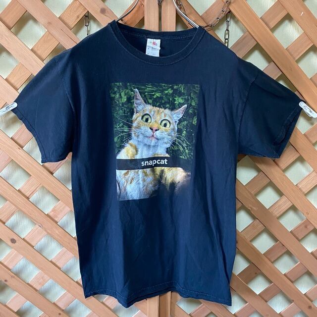 フルーツオブザルーム アディダス ジャージ Tシャツ USA 90s 半袖