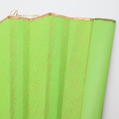 フラメンコ アバニコ 扇子 Abanico Espaol 小物 小道具 32cm グリーン系 黄緑 オレンジ系 ゴールド カラフル アイテム 練習 舞台 イベント ゴールド系 ケース付き ダンス 発表会 ステージ カラフルアイテム ダンス練習用 フラメンコ用品