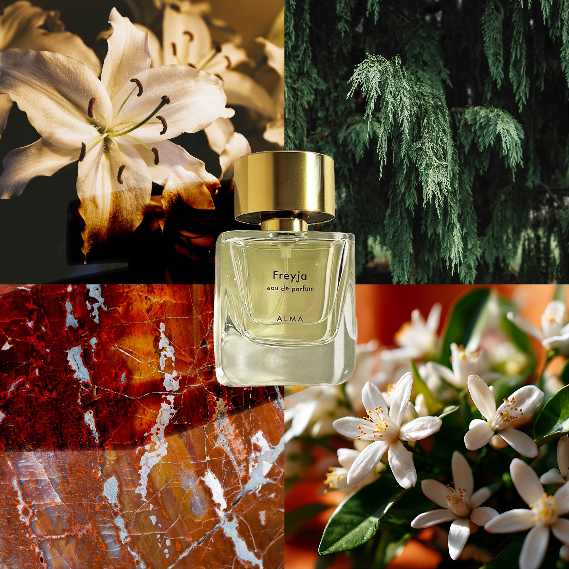 ALMA Freyja＋kukuriミニ香水セット＆アミュレットバーム セレーネ Freyja Eau de Parfum［Freyja × Kukuri EDP（mini）setプレゼント