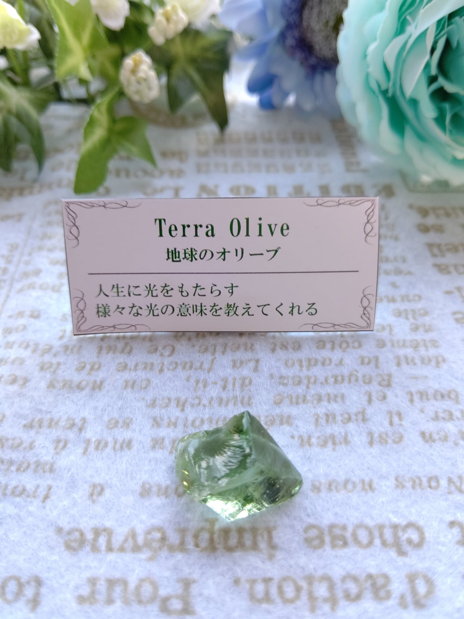 超希少な太古の石】レアストーン☆シャリグラムの原石☆一点物限定☆NO