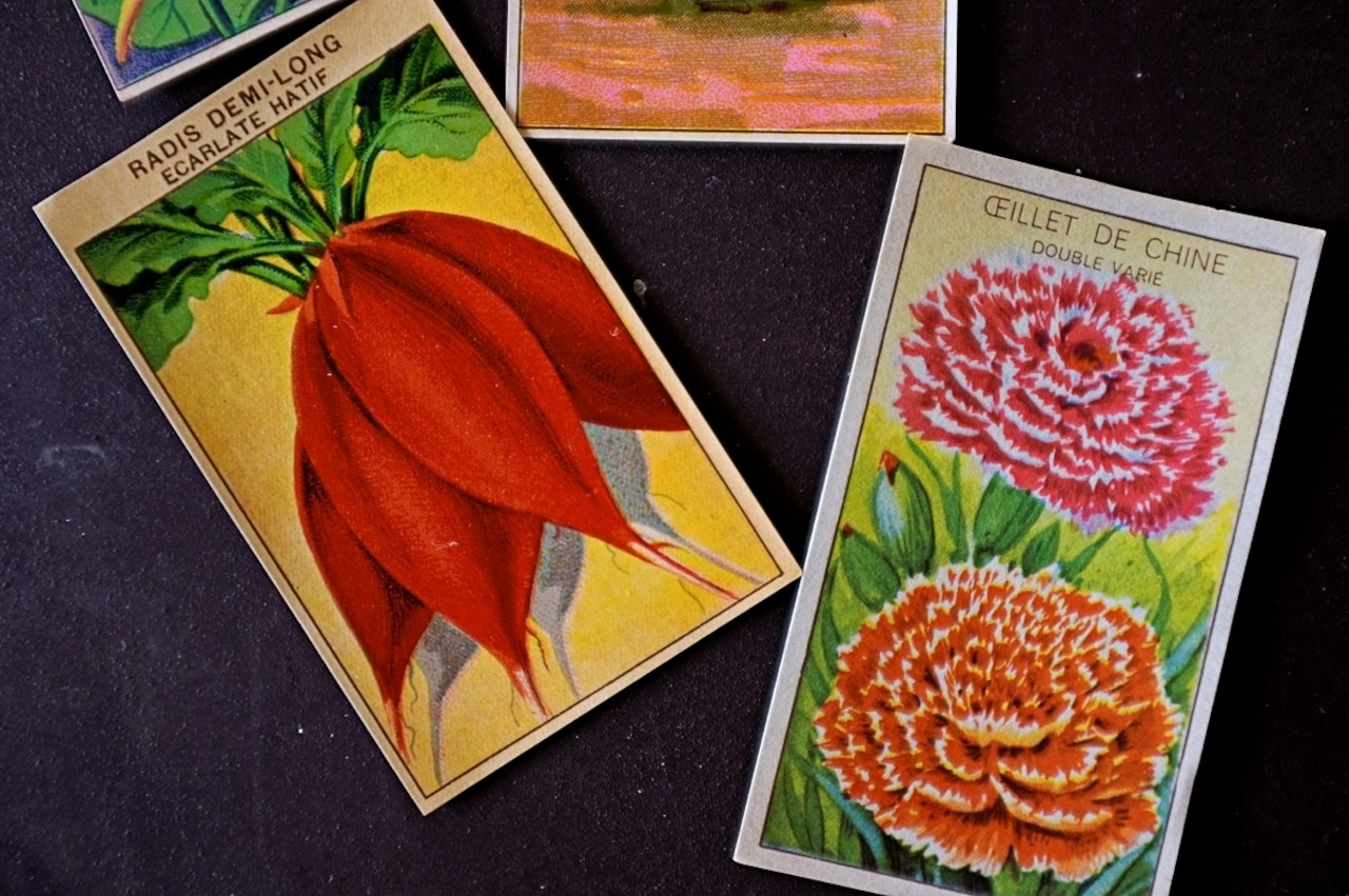 20s フランス 4set 膨満な花々と野菜たち 種子袋用ラベルa アンティーク