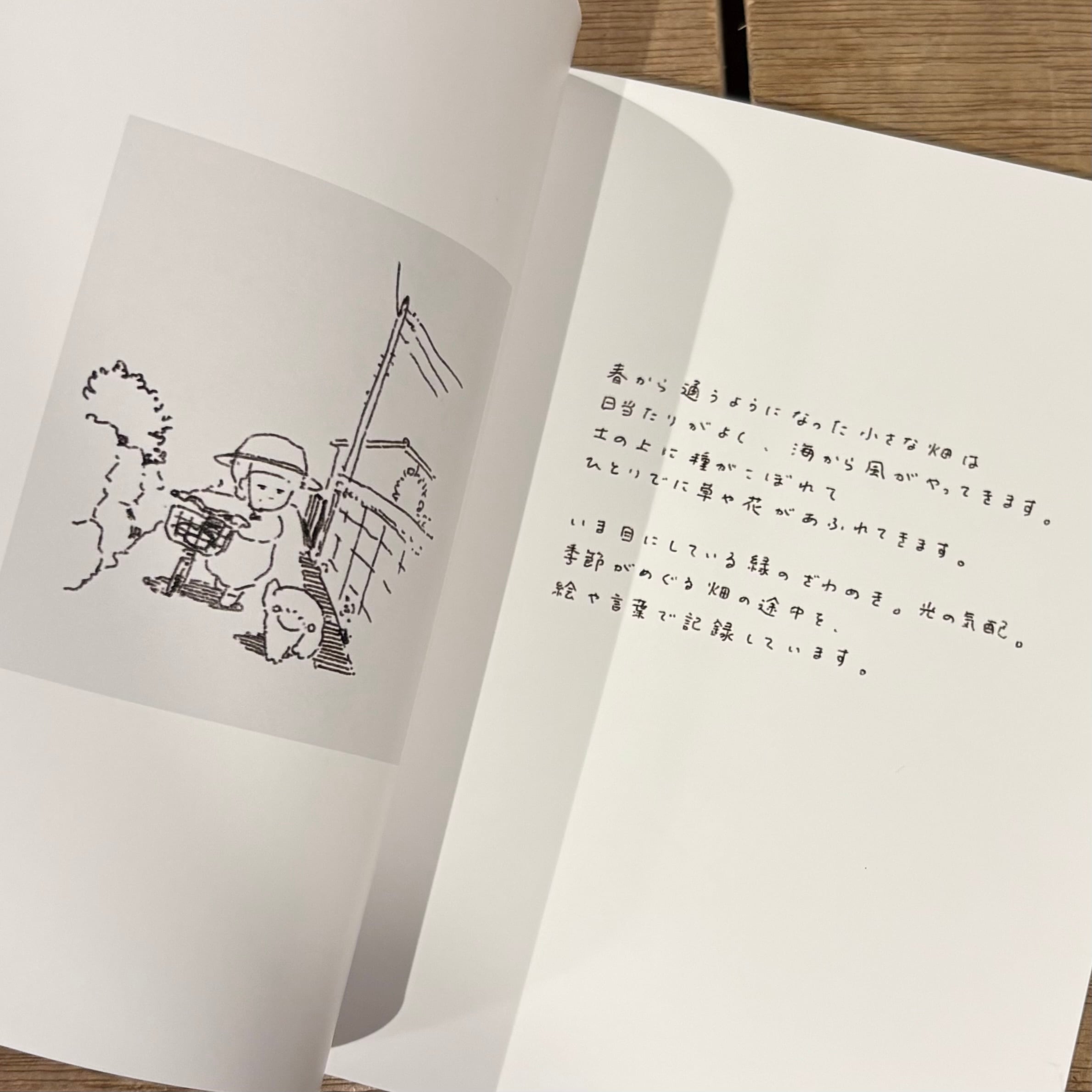 くさのねいき のもとしゅうへい [サイン入] | 百年