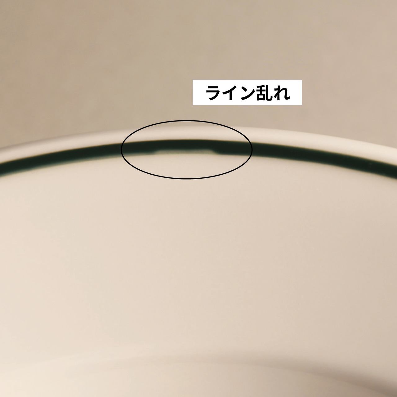 ポルバサル　イサバ　パスタプレート　グリーン