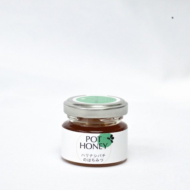 ハリナシバチの蜂蜜　　POT HONEY　アカシアH.i　30g