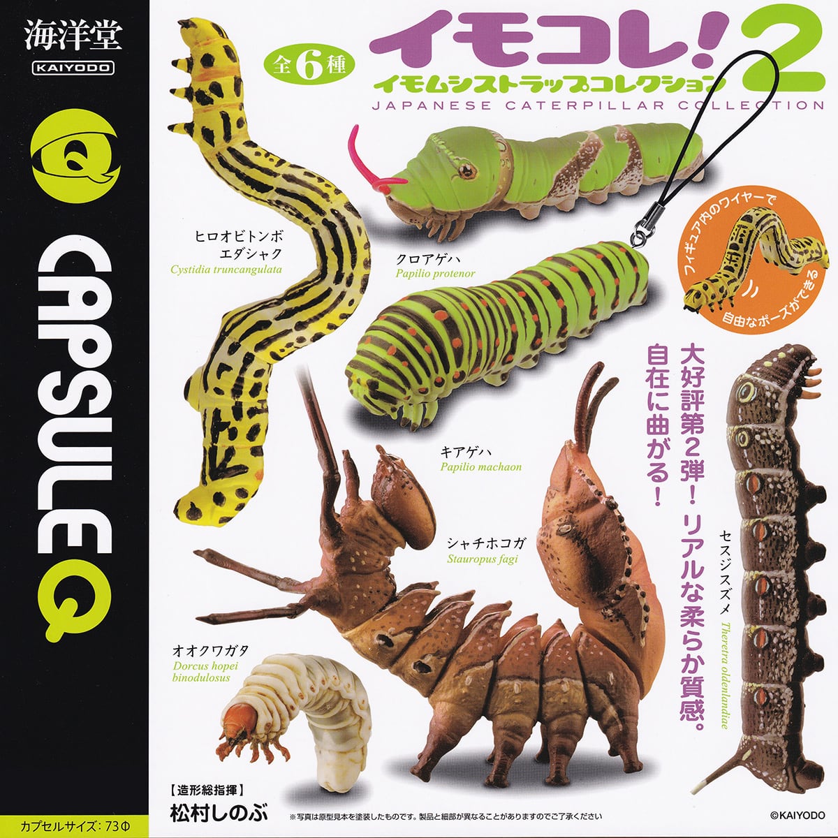 イモムシガチャ　昆虫アクリルキーホルダー 楽天市場】アクリル キーホルダー 【 昆虫】【 蝶 】 透明 アクキー