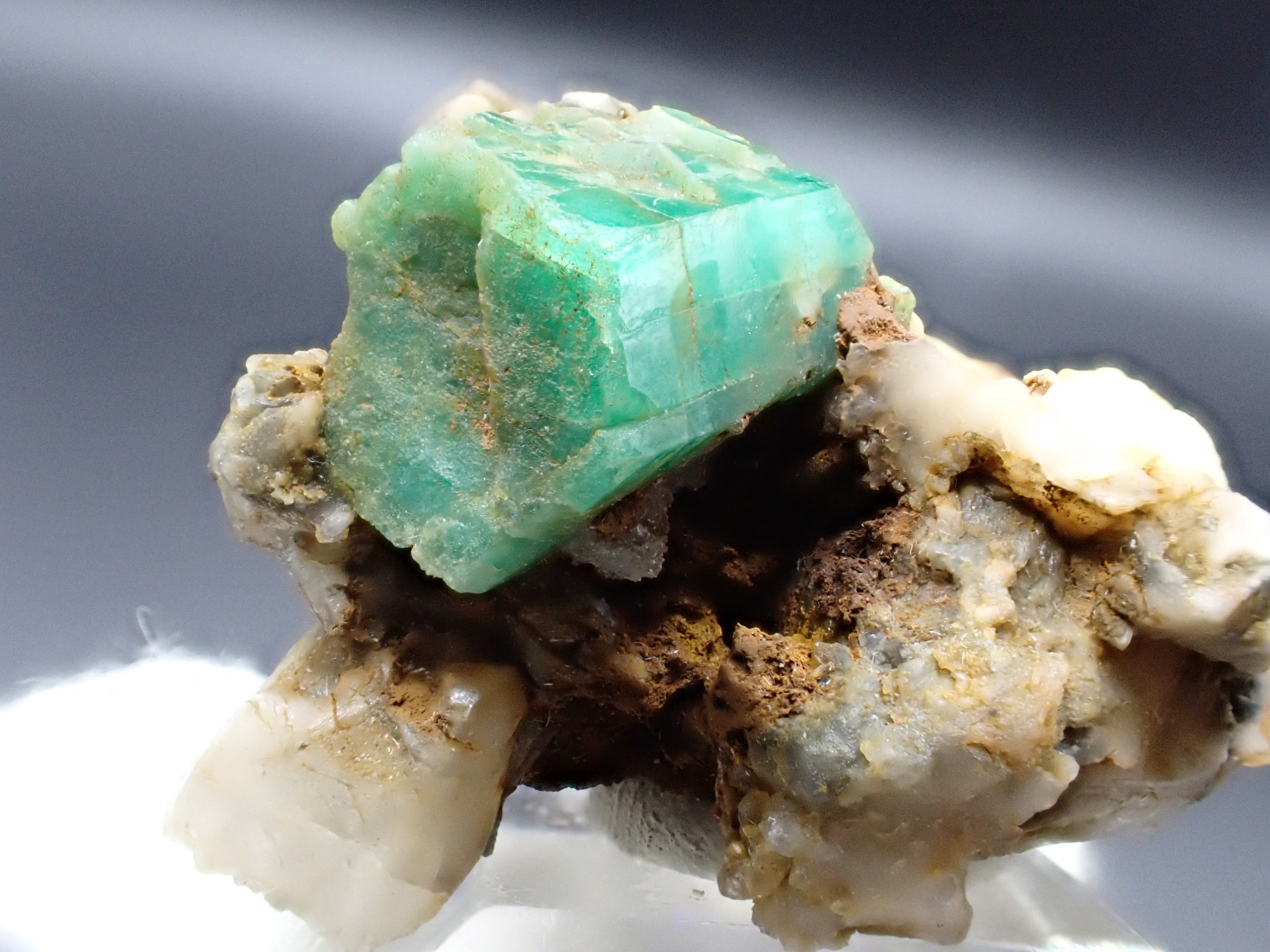 エメラルドカラーの美しいハムシ【標本】 エメラルドカラーの美しいハムシ【標本】