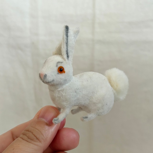 ワグナーの白いうさぎ
