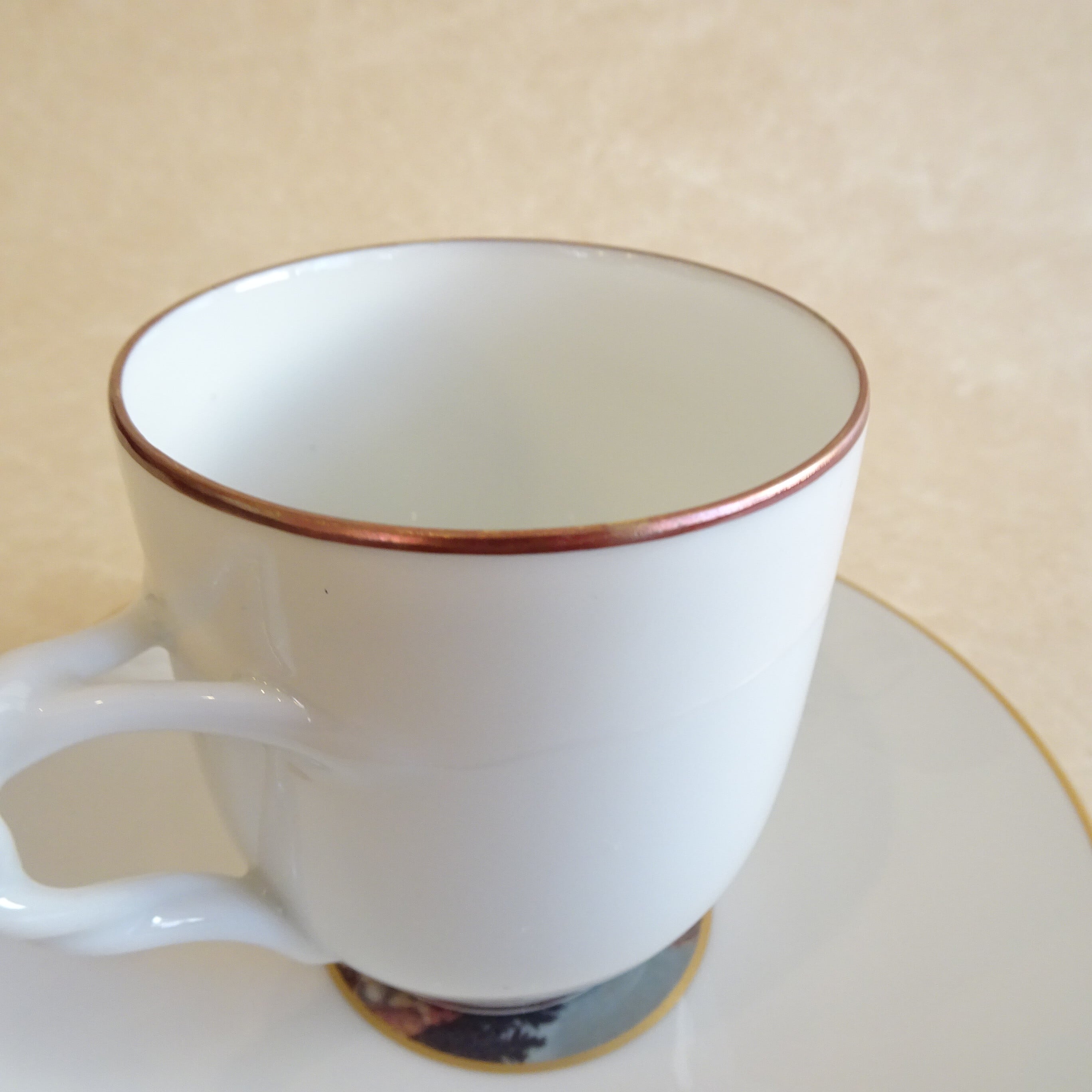 リチャード・ジノリ ヴィーナスの誕生 カップ&ソーサー | 純喫茶家具の
