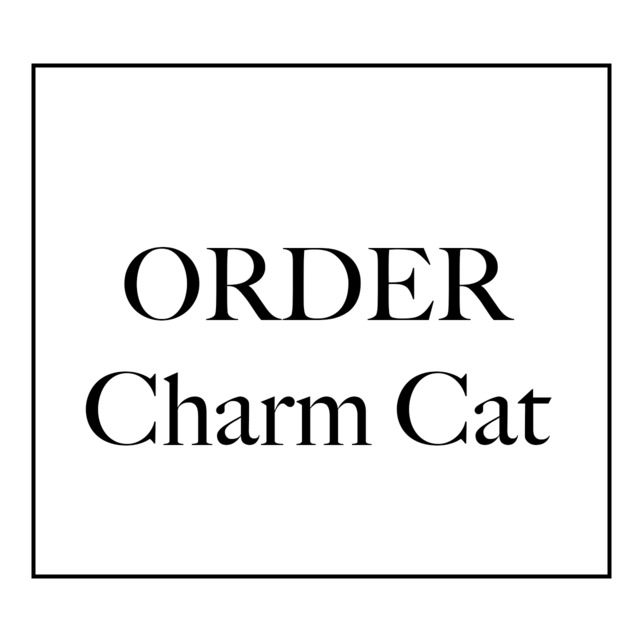 Iさま専用オーダー作品　Charm＊cat