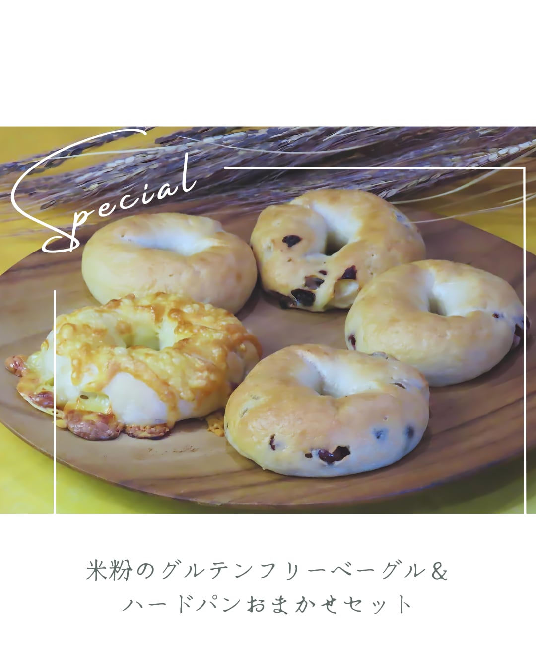 【玄米粉入り】米粉のグルテンフリーベーグル&ハードパンおまかせセット