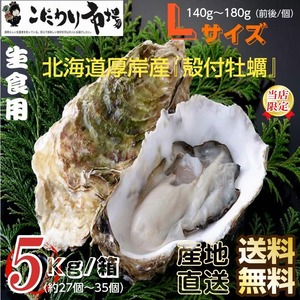 牡蠣 北海道厚岸産 殻付き生牡蠣 5kg /箱 Lサイズ 産地直送 送料無料