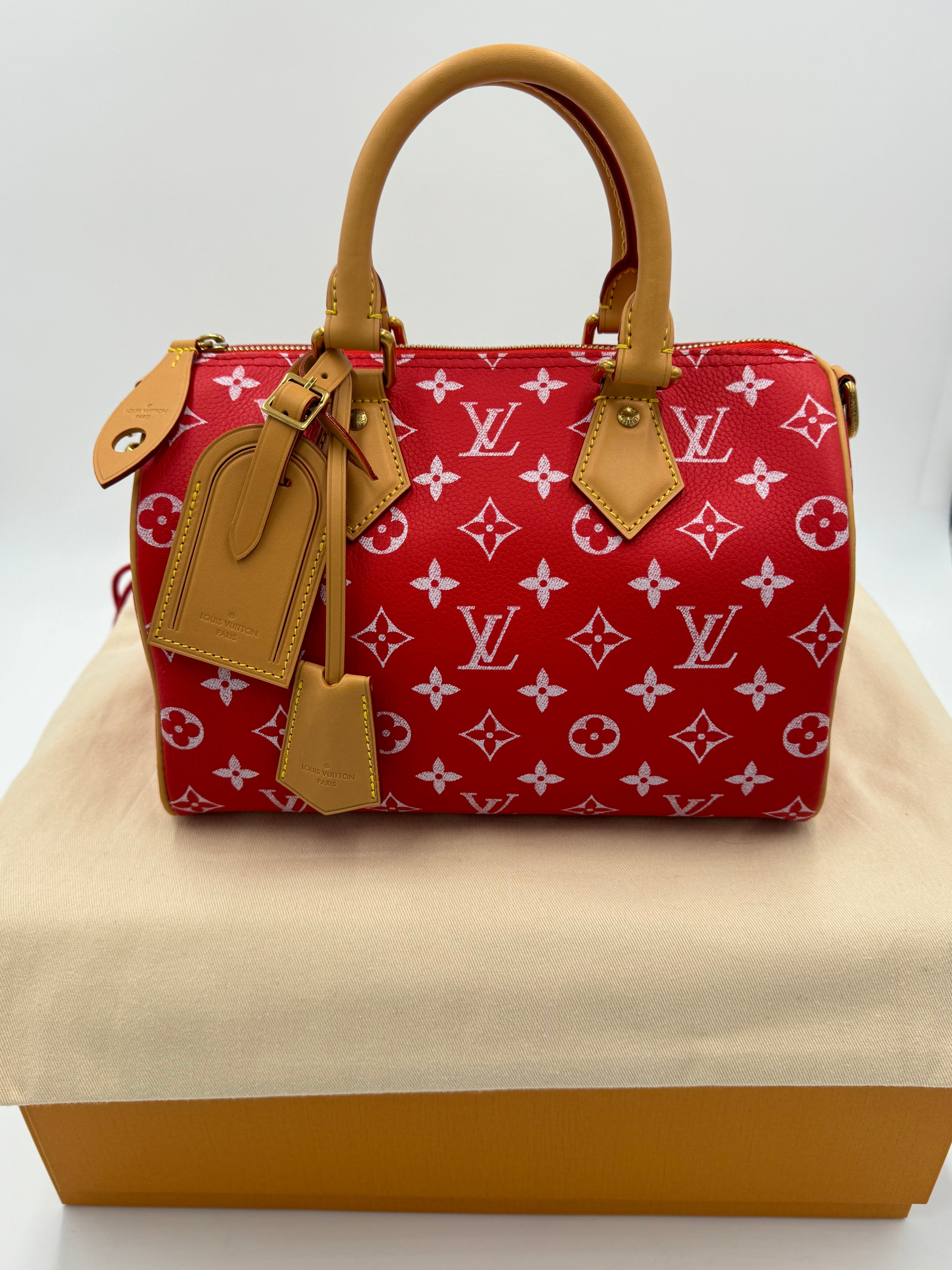 LOUIS VUITTON スピーディー P9 バンドリエール 25 M24425 | QUANTO LOUIS VUITTON スピーディー P9 バンドリエール 25 M24425 | QUANTO