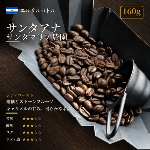 【店頭受取:160g】エルサルバドル サンタアナ サンタマリア農園