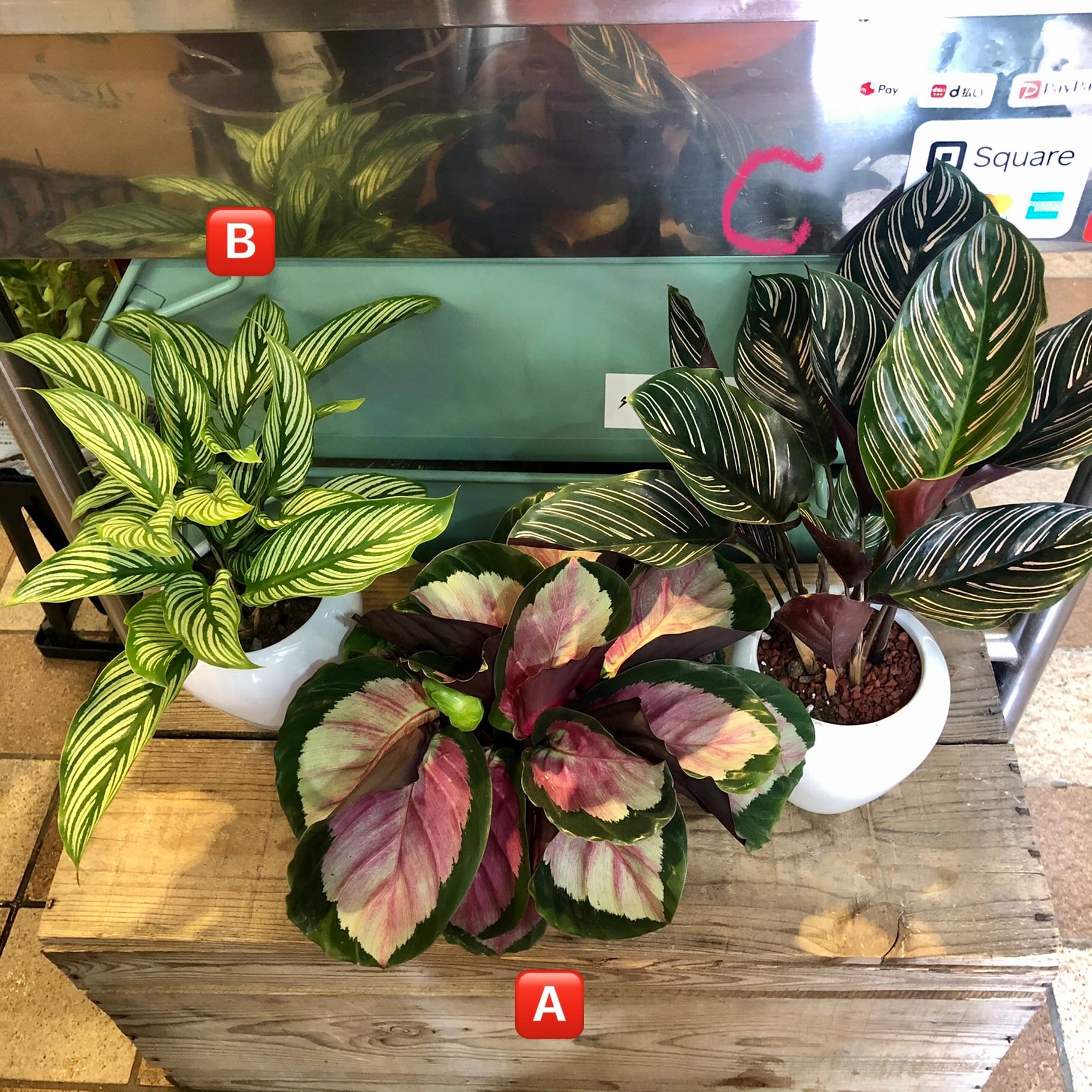 98964a0e82050cc5c4448cdeb52fee