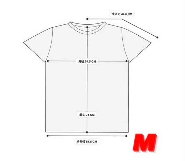 Nudie jeans 2022 ヌーディージーンズ SUMMER COLLECTION Roy Sunshine Ark Faded Sun プリントTEEシャツ