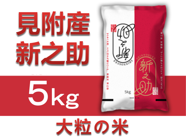 【令和5年産完売】「新潟ブランド！」見附産新之助（5kg）