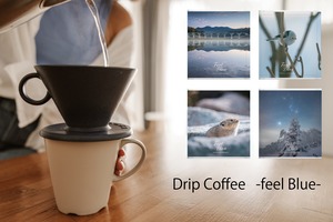 drip coffee　-feel blue-