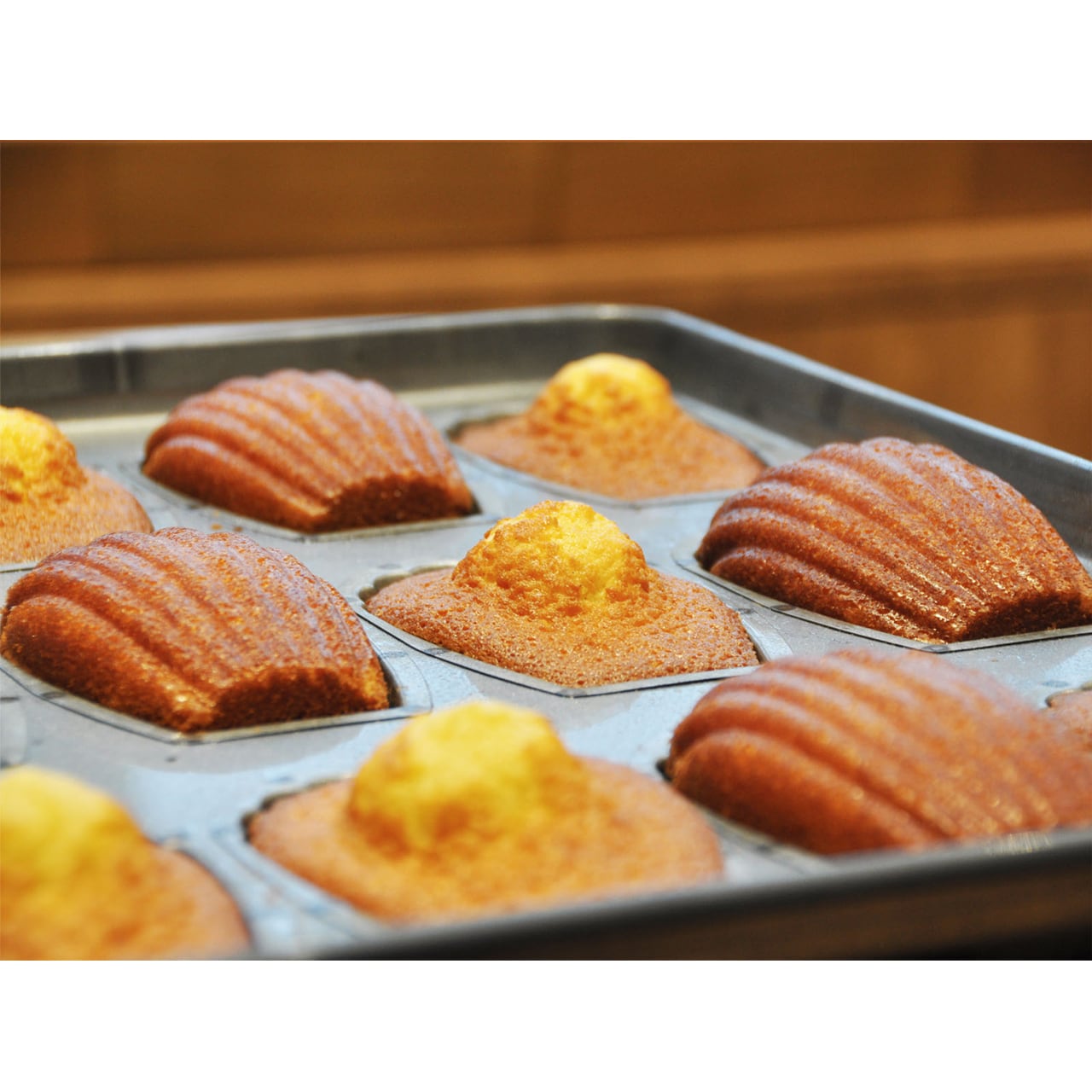 マドレーヌ【ハンブンコ】 8個入 | アイスケーキや焼き菓子のお